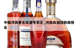 中国河南著名白酒专家王_河南白酒经销商排名