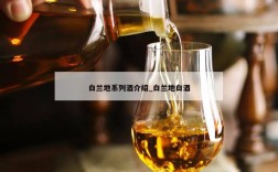 白兰地系列酒介绍_白兰地白酒